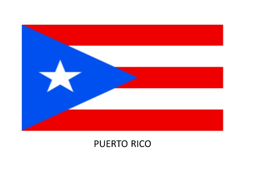 PUERTO RICO Puerto Rico Payday Changes to Lender License