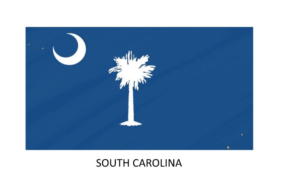 SOUTH CAROLINA South Caroline Payday Changes to Lender License